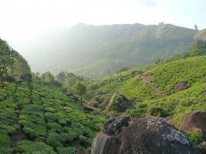Kerala, India