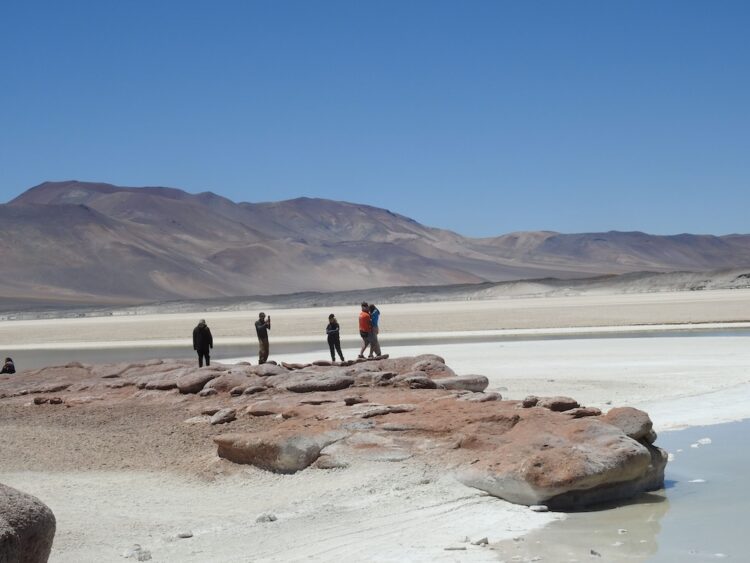 Alt text: "Travelers exploring a breathtaking high-altitude desert landscape with a clear blue sky, featuring a shallow salt lake, rich brown-red terrains and soft dusty mountains in the background, perfect for adventure travel and nature photography."