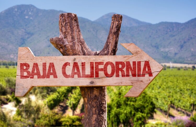 "Wooden signpost with 'Baja California' text pointing right, set against a picturesque backdrop of lush vineyards and mountain ranges, showcasing the scenic beauty of Mexico's wine country destinations."