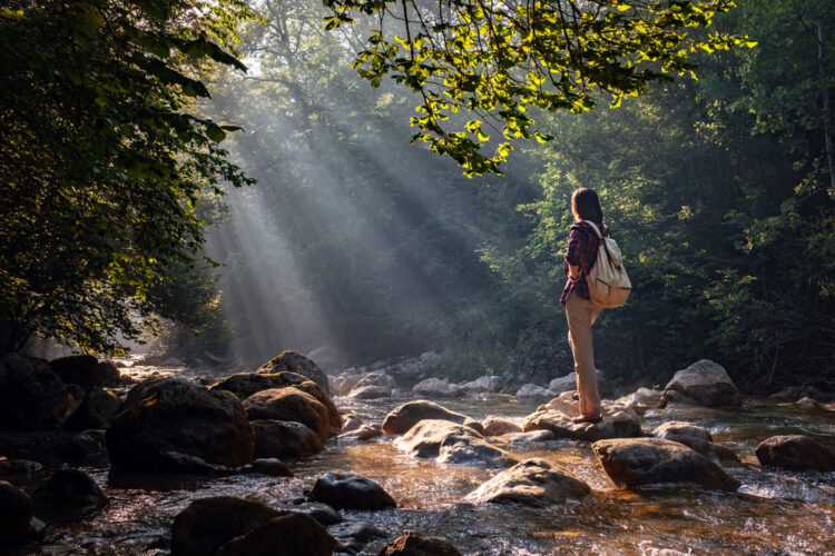 Hiker by stream with sunbeams