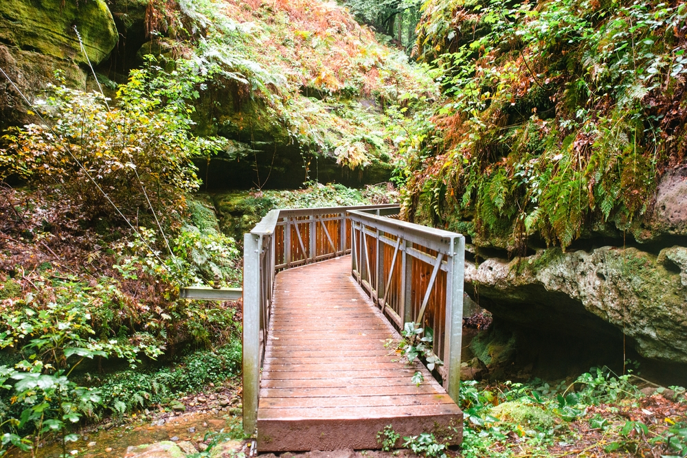 Mullerthal trail in Luxembourg between Echternach and Berdorf