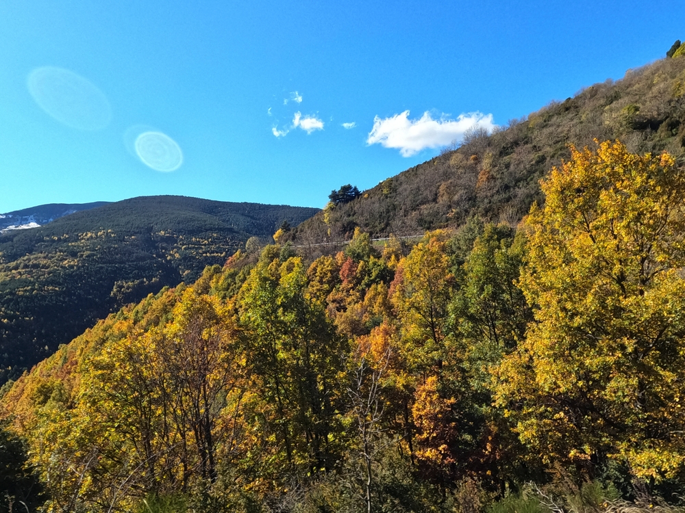 Ripoll Girona Catalonia Spain banks of Ter river in autumn