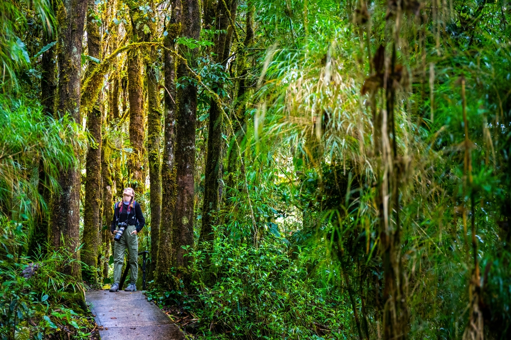 Why the rainy season is fabulous in Costa Rica