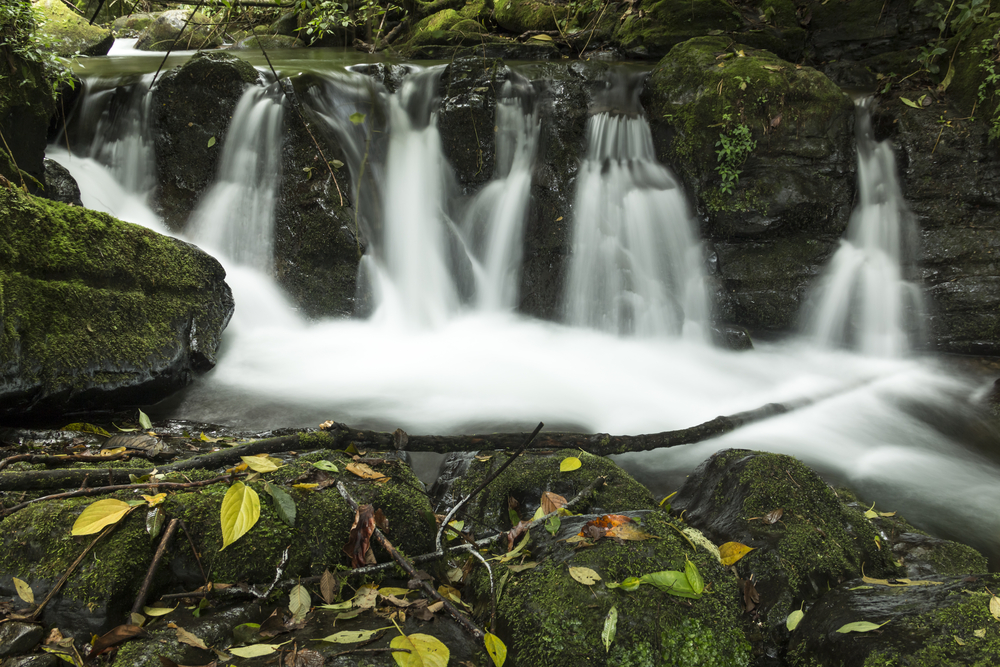 Savegre River, San Gerardo de Dota, Costa Rica