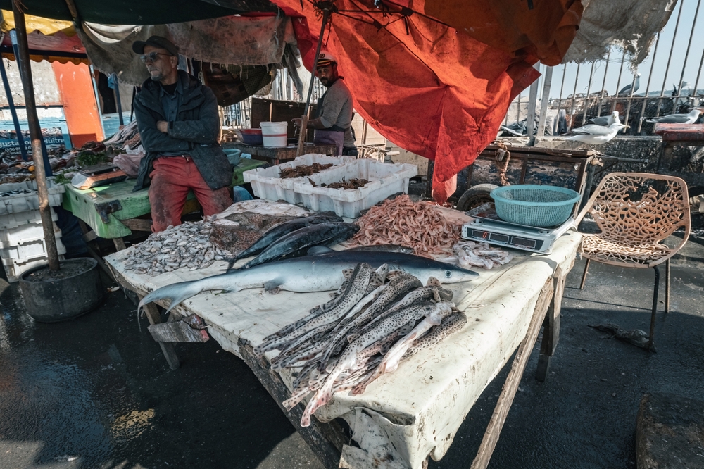 fish market people selling fresh fish and seafood old port Essaouira Morocco