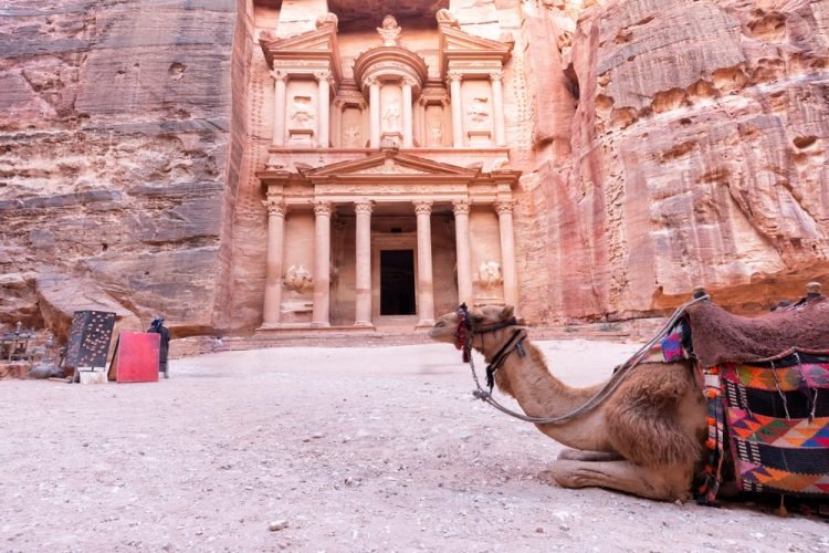 Petra: A City Carved into Time Camel near the Al Khazneh or The Treasury at Petra, Jordan. Petra is one of the New Seven Wonders of the World. UNESCO World Heritage