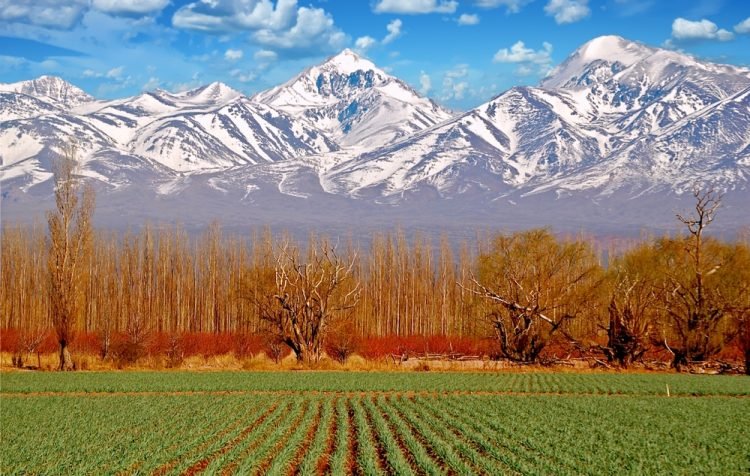 Getting a taste for Mendoza Argentina Andes Mendoza