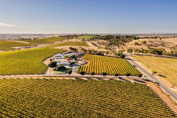 Adventure Abounds: 10 Reasons to go to South Australia