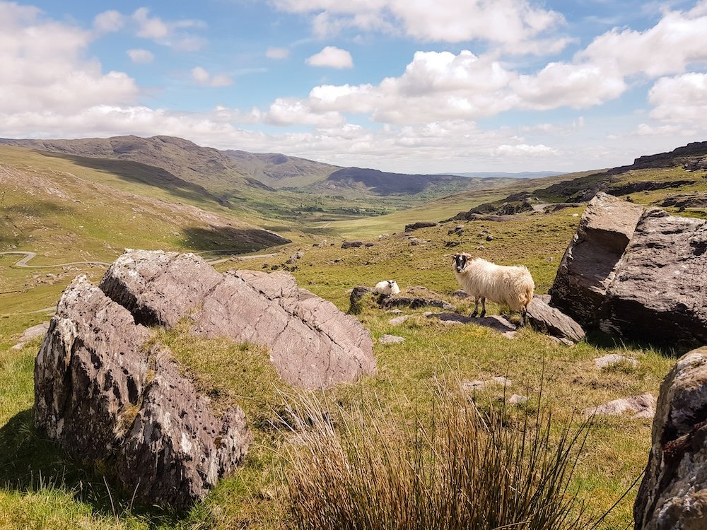 Healy Pass
